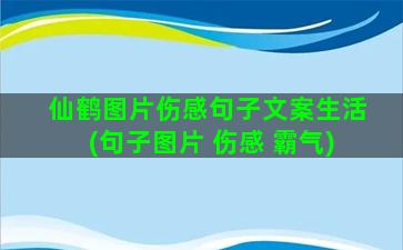 仙鹤图片伤感句子文案生活(句子图片 伤感 霸气)